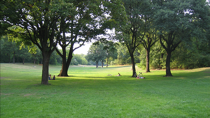 hasenheide