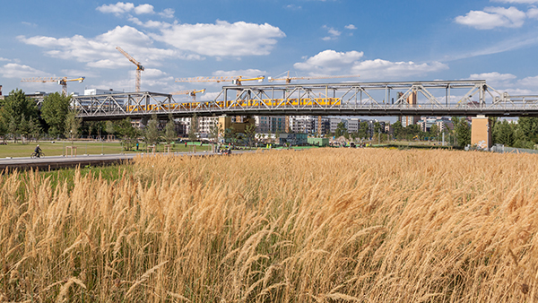 Gleisdreieck-021