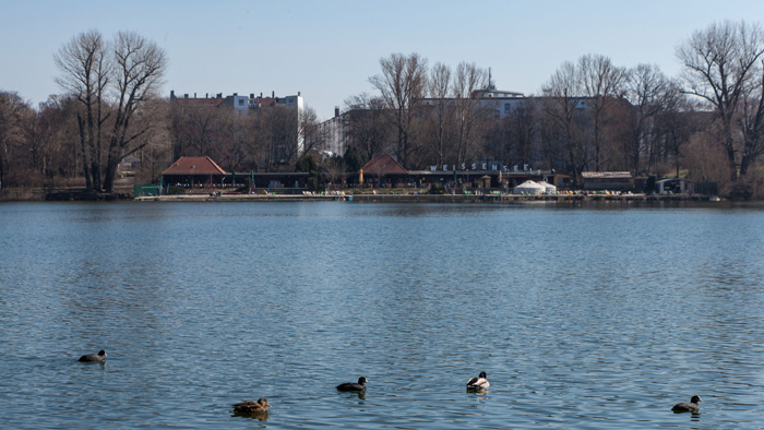 Lehderstrasse_Weissensee_Neighborhood_08